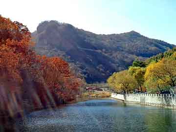 新澳天天开奖资料大全旅游团，一千滴眼泪分集介绍